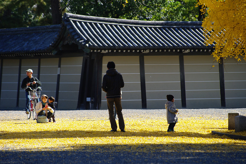 紅葉 2012　～京都御苑～_f0152550_22484786.jpg