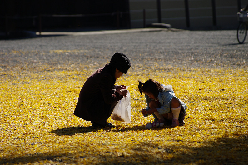 紅葉 2012　～京都御苑～_f0152550_22485943.jpg