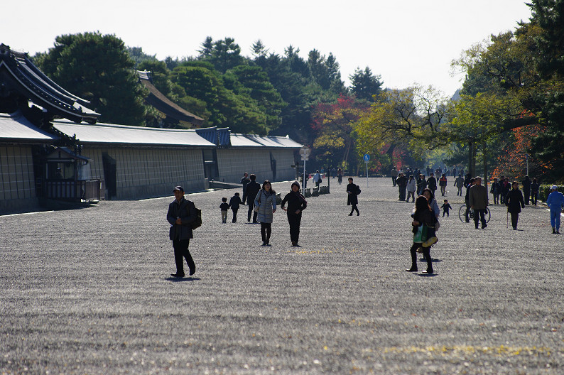 紅葉 2012　～京都御苑～_f0152550_22491015.jpg