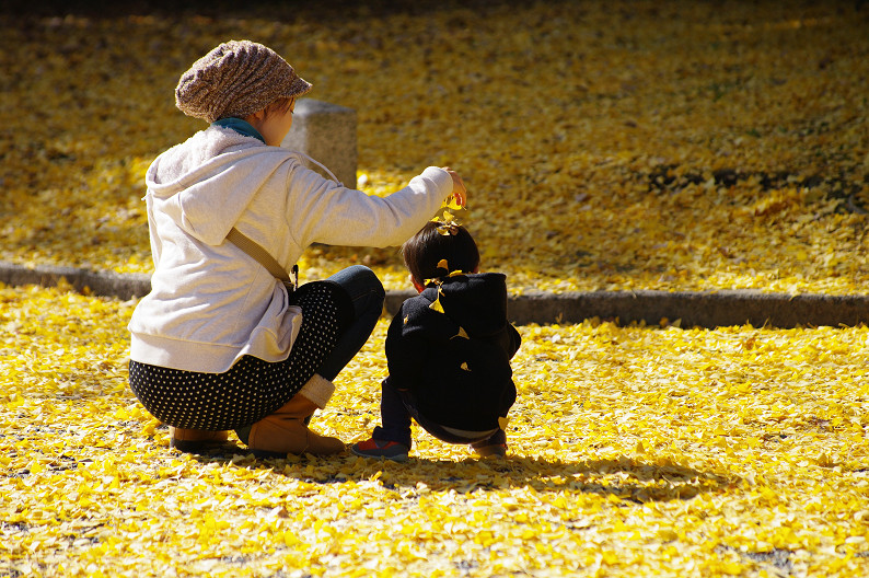 紅葉 2012　～京都御苑～_f0152550_22492182.jpg