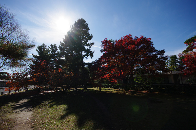 紅葉 2012　～京都御苑～_f0152550_22494740.jpg