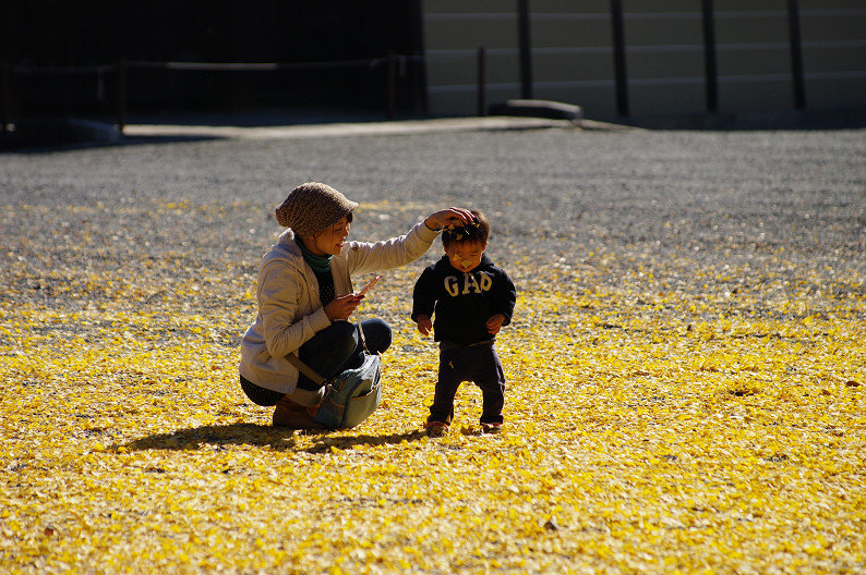 紅葉 2012　～京都御苑～_f0152550_2249570.jpg