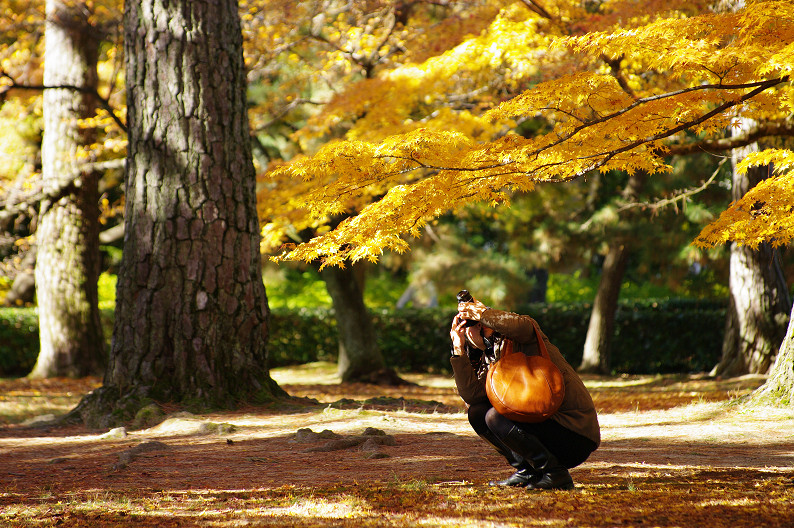 紅葉 2012　～京都御苑～_f0152550_22503688.jpg