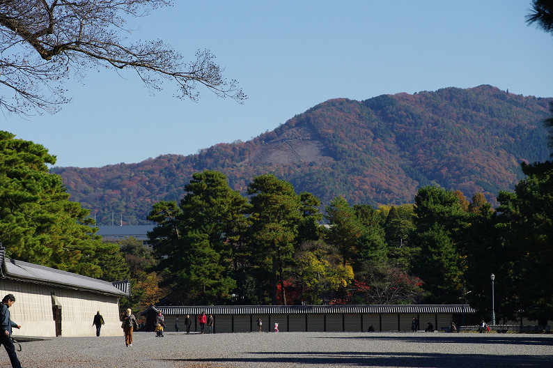 紅葉 2012　～京都御苑～_f0152550_22511472.jpg