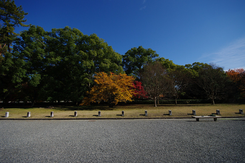 紅葉 2012　～京都御苑～_f0152550_22514697.jpg