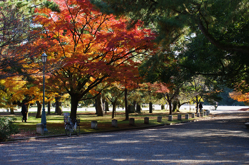 紅葉 2012　～京都御苑～_f0152550_22515283.jpg