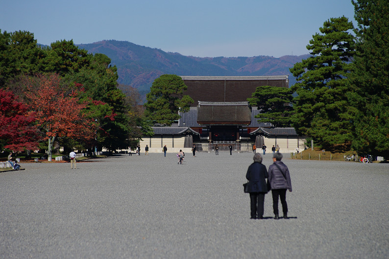 紅葉 2012　～京都御苑～_f0152550_2251597.jpg