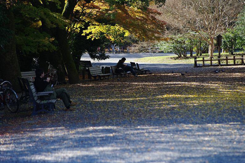 紅葉 2012　～京都御苑～_f0152550_22521448.jpg