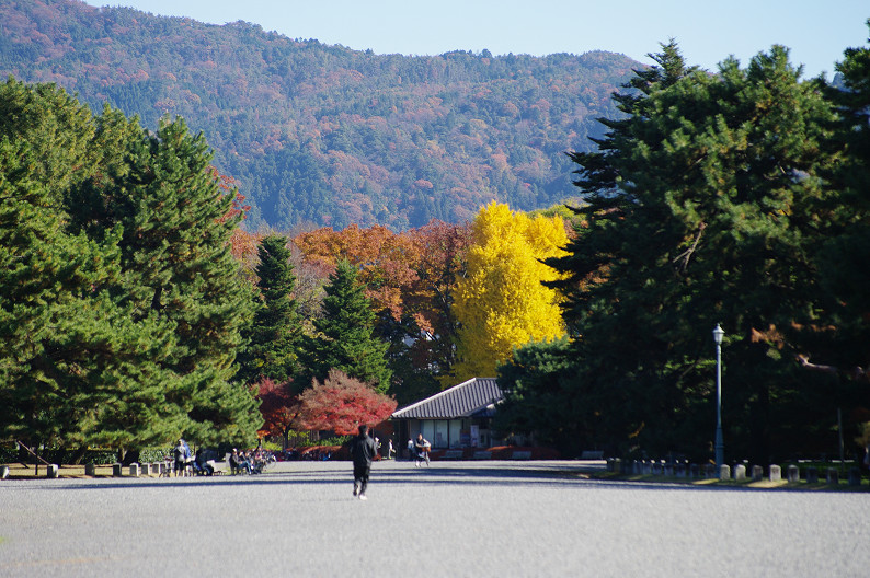 紅葉 2012　～京都御苑～_f0152550_22522350.jpg