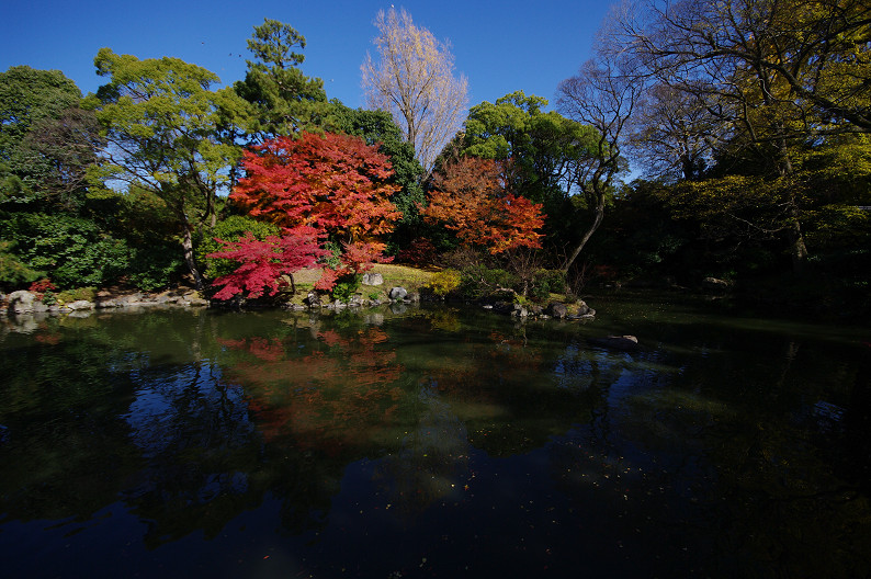 紅葉 2012　～京都御苑～_f0152550_22523716.jpg