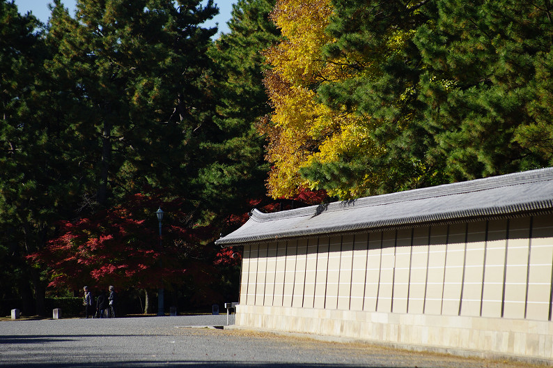f0152550_22533382.jpg
