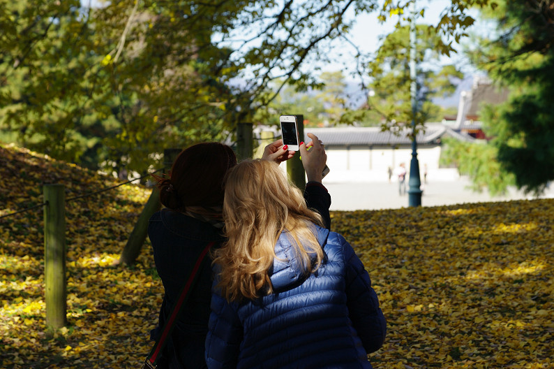 紅葉 2012　～京都御苑～_f0152550_22543889.jpg