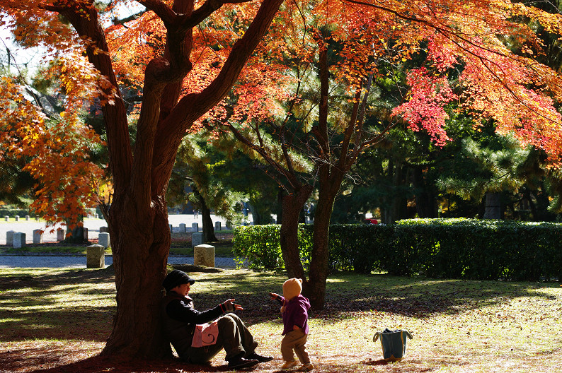 紅葉 2012　～京都御苑～_f0152550_225482.jpg