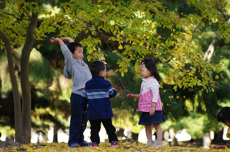 紅葉 2012　～京都御苑～_f0152550_2255037.jpg