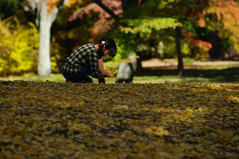 紅葉 2012　～京都御苑～_f0152550_22551768.jpg