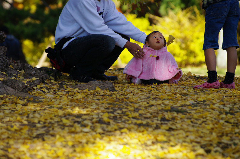 紅葉 2012　～京都御苑～_f0152550_22553196.jpg