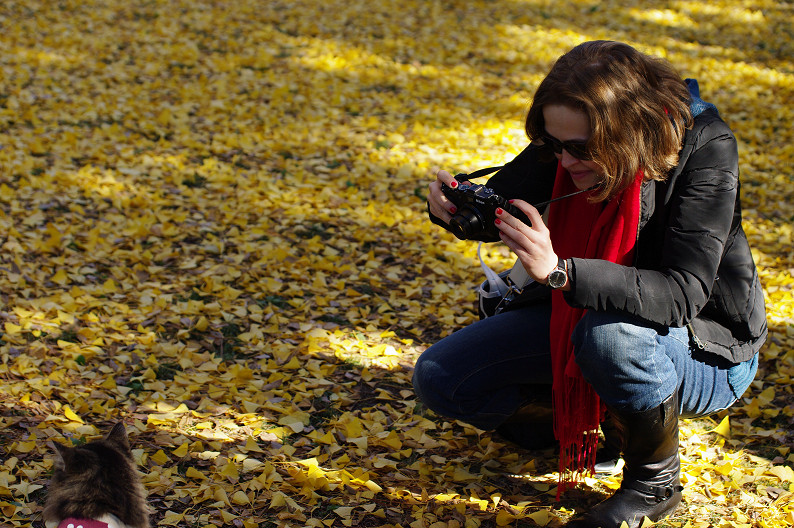 紅葉 2012　～京都御苑～_f0152550_2255383.jpg