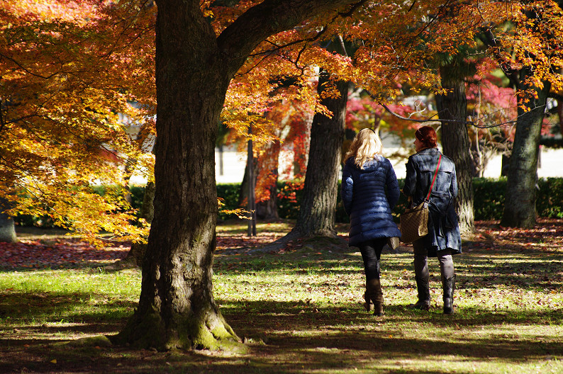 紅葉 2012　～京都御苑～_f0152550_22555990.jpg