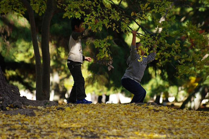 紅葉 2012　～京都御苑～_f0152550_2255813.jpg