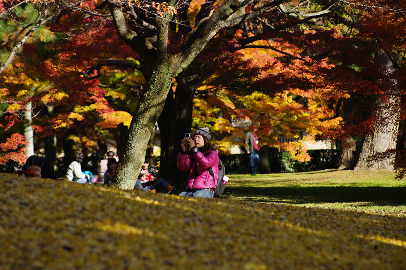 紅葉 2012　～京都御苑～_f0152550_22571119.jpg