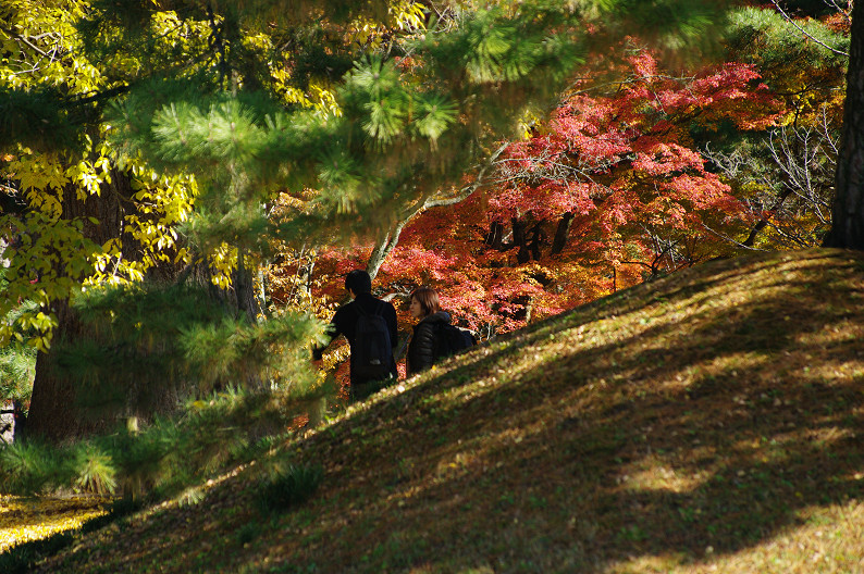 紅葉 2012　～京都御苑～_f0152550_22571856.jpg