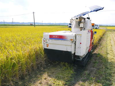 砂田米 稲刈り後の田んぼと耕運作業_a0254656_1617990.jpg