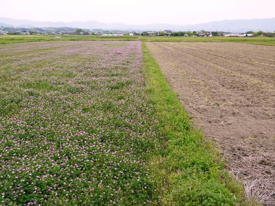 砂田米 稲刈り後の田んぼと耕運作業_a0254656_1744753.jpg
