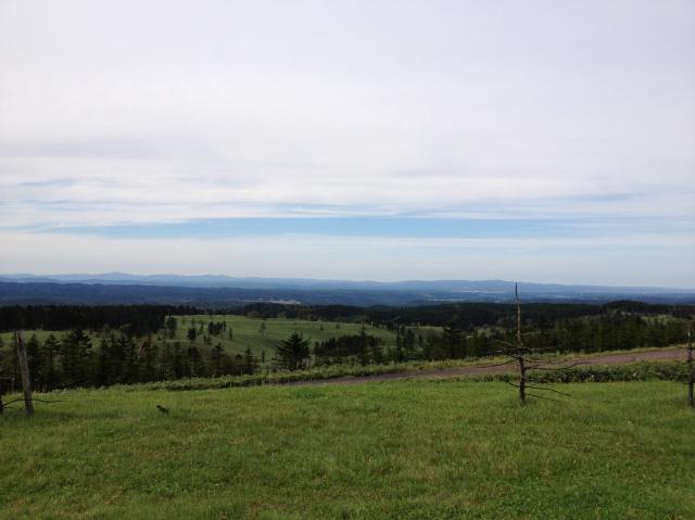 c0105957_0102123.jpg