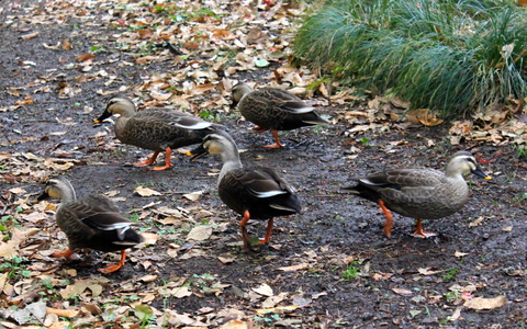 a0248459_160423.jpg