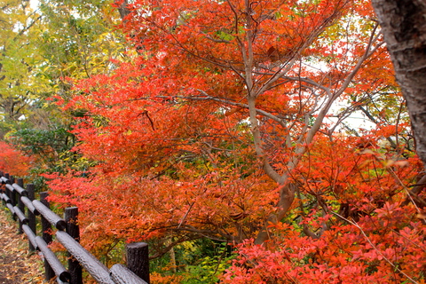 a0248459_1610882.jpg