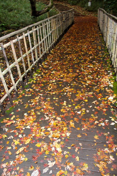a0248459_169830.jpg