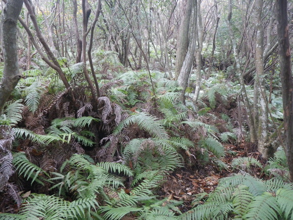 b0228959_6255879.jpg