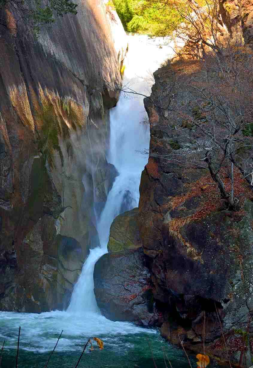 c0119160_6562434.jpg