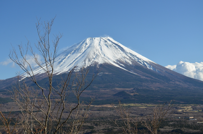 c0080861_1316762.jpg