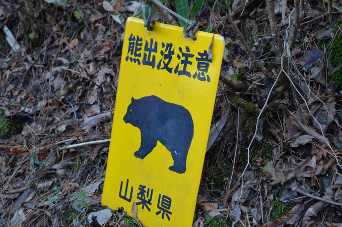 c0080861_13173120.jpg