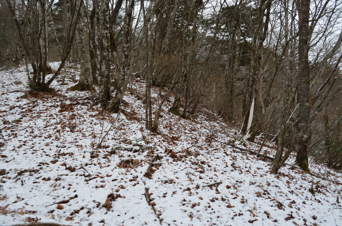 c0080861_13182254.jpg