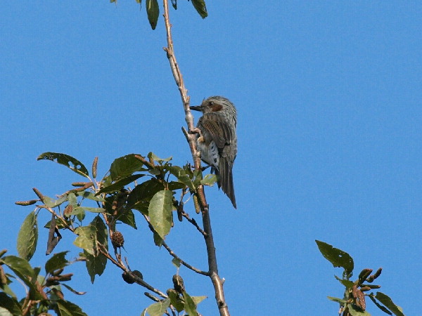 f0208666_9305385.jpg