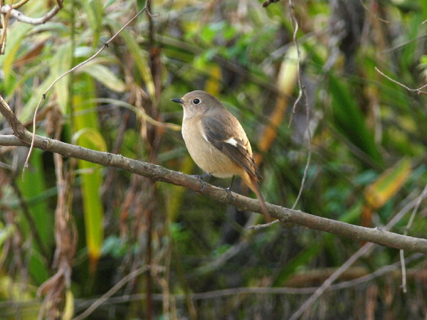 f0208666_9502825.jpg