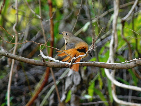 f0208666_9584717.jpg