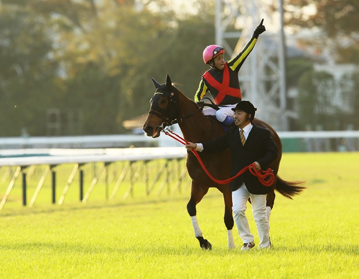 競馬史に残る名勝負 ジャパンカップ ３ Turfに魅せられて 写真紀行