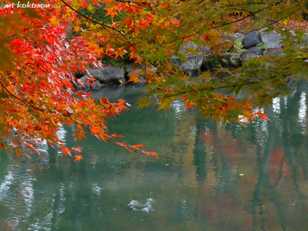 世界遺産　京都東寺_d0140680_21292422.jpg