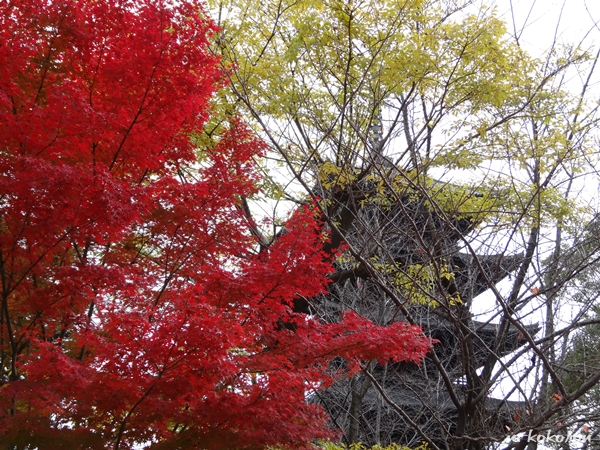 世界遺産　京都東寺_d0140680_22184511.jpg