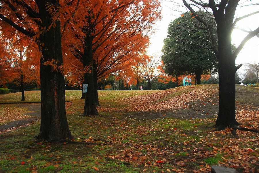 枯葉舞う公園_c0187781_17554466.jpg