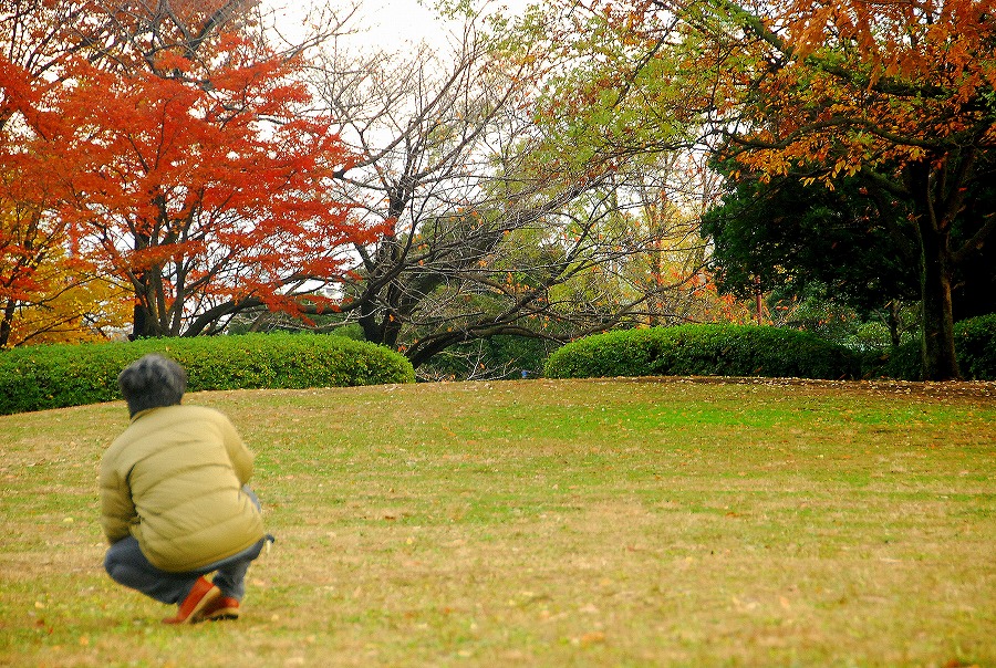 枯葉舞う公園_c0187781_17572489.jpg
