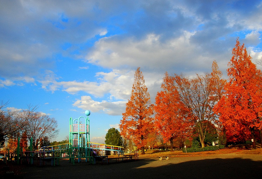 枯葉舞う公園_c0187781_17593195.jpg