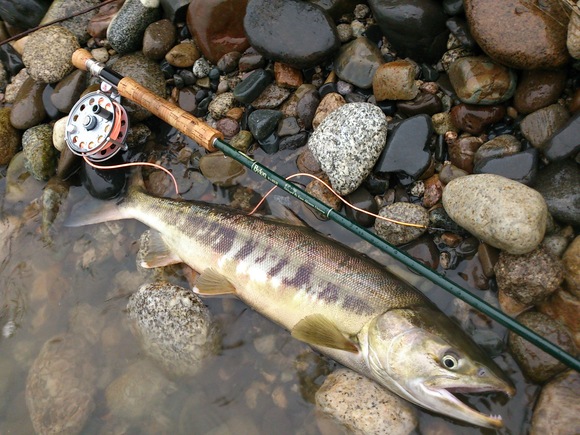 2012 荒川 サケ釣り~!_c0157482_21431344.jpg
