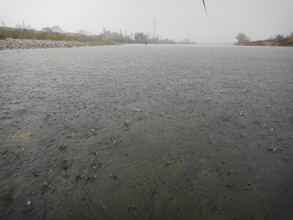 ２０１２　荒川　サケ釣り～！_c0157482_21541947.jpg