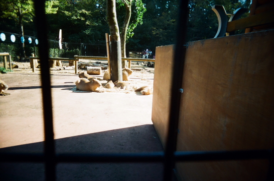 d0180285_1455376.jpg