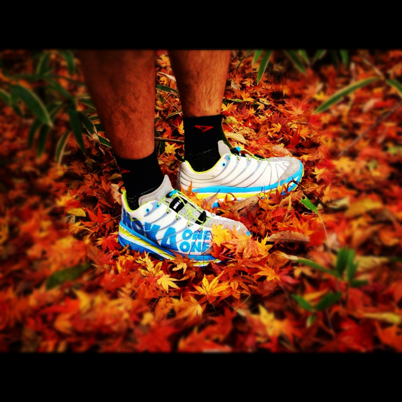 2012/11/29 神戸トレイルランニング_b0220886_14471022.jpg