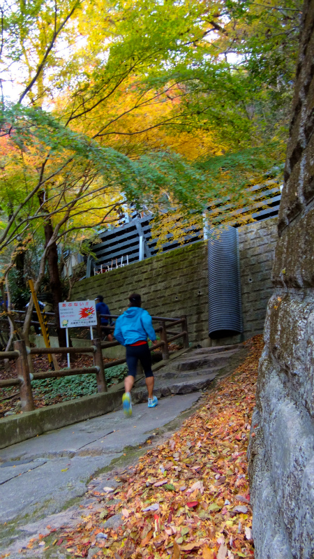 芦屋ロックガーデン 2012/12/01 Try HOKA ONE ONE _b0220886_1544563.jpg